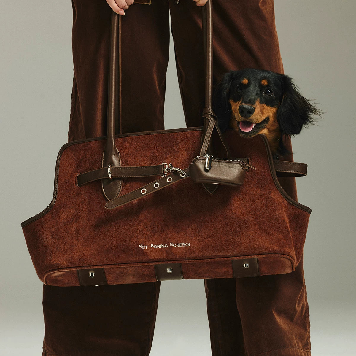Suede-Feel Pet Tote Bag – Small Dog and Cat Carrier with Safety Leash, Hand or Shoulder Carry, Reddish Brown