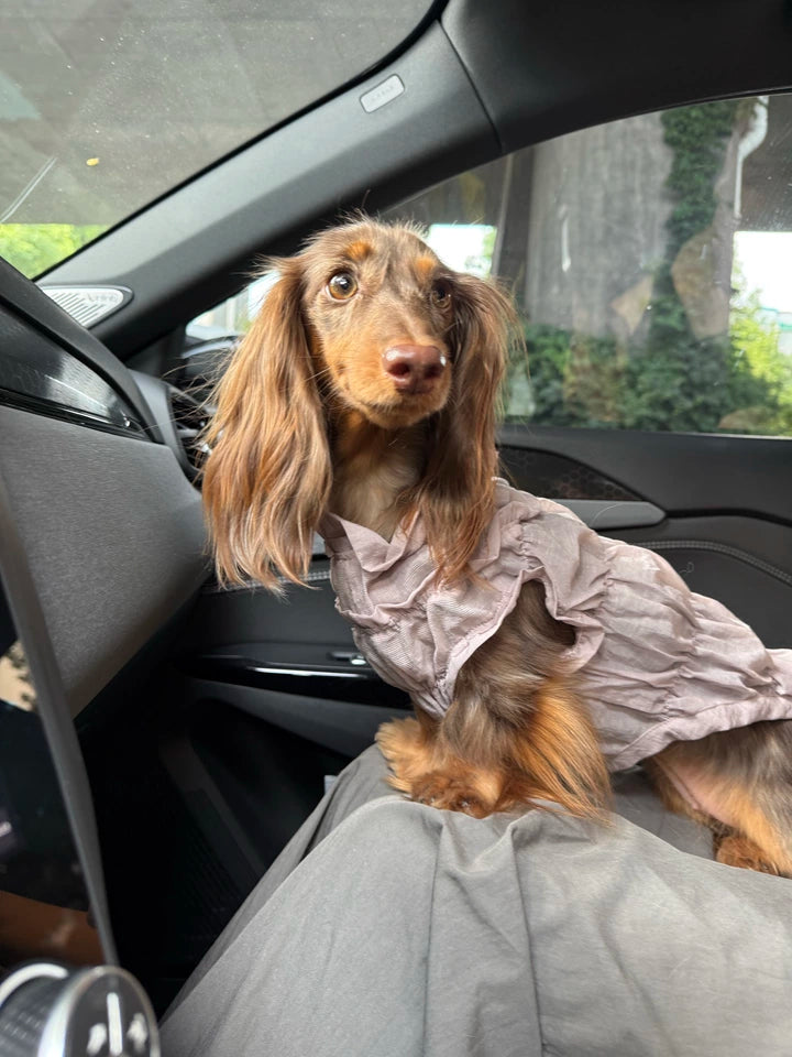 Ruffle Dog Vest – Lavender Mousse, Beige or Purple