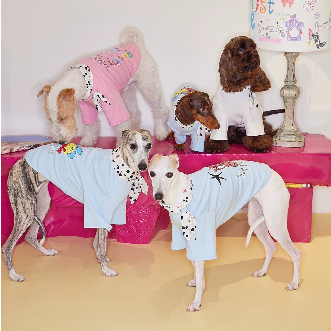 Doodle Scarf Bow-Tie Tee t-shirt for dogs