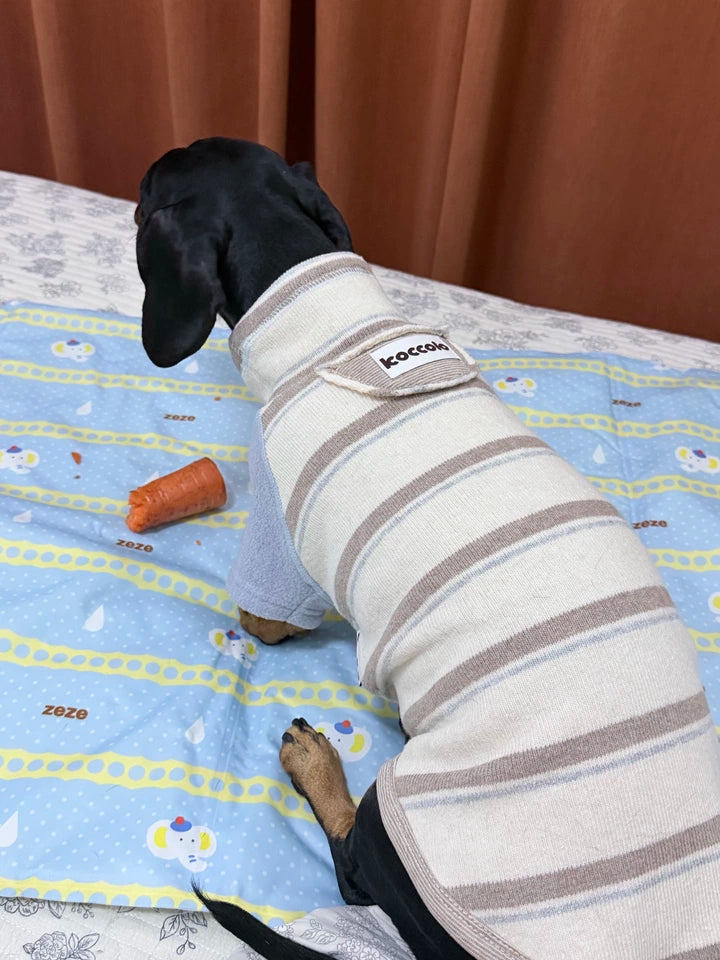 Honey Stripe Dog Jumper with Blue Sleeves – Beige