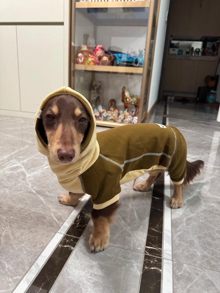 Ginger Chestnut Four-Leg Dog Hoodie – Brown and Cream