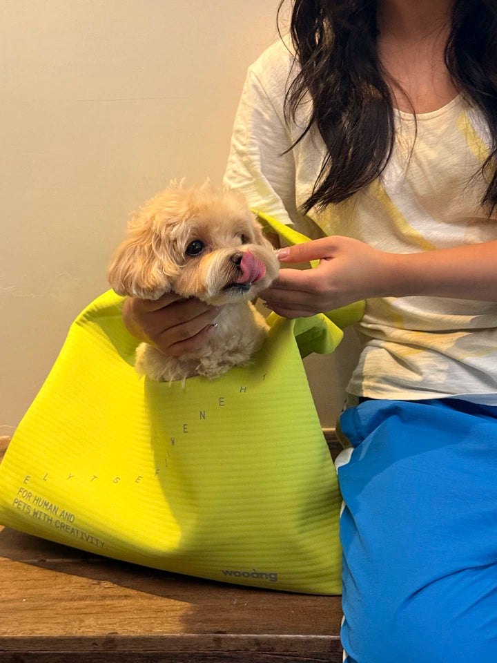 Waterproof Pet Crossbody Carrier Bag – Wide Hard-Base Dog and Cat Carrier, Small up to 4 kg or Large up to 10 kg