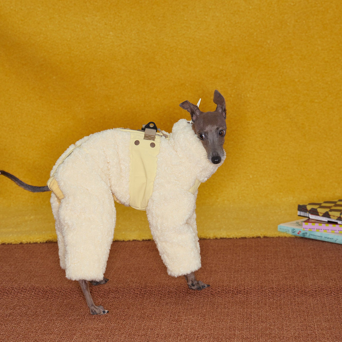 CloudShear Plush Winter Jumpsuit for Dogs