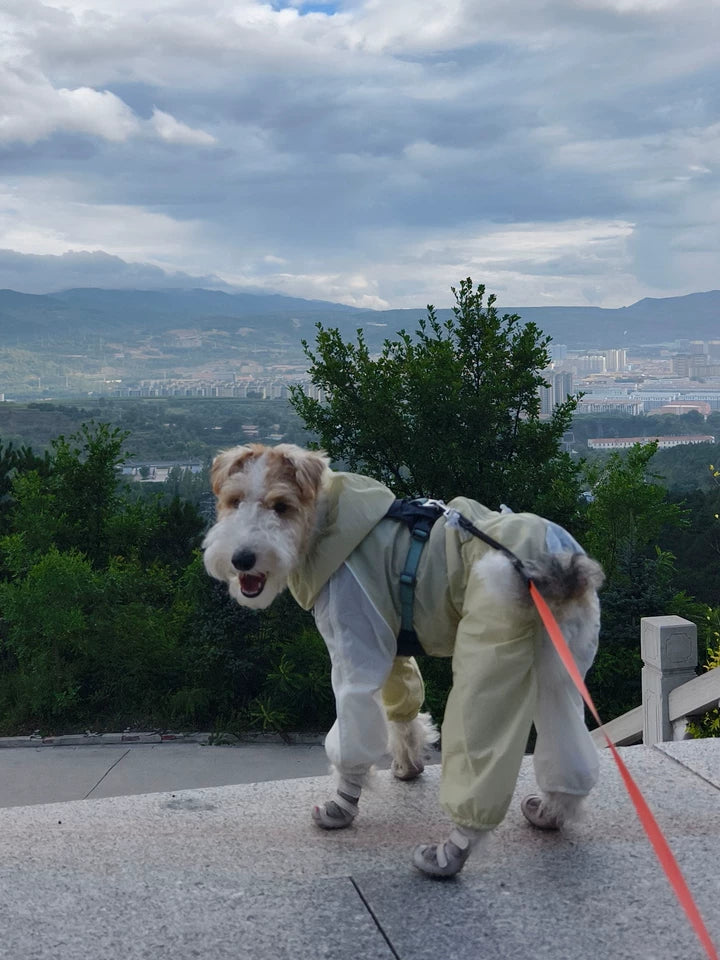 Lightweight Four-Leg Dog Rain Suit – Blue or Yellow