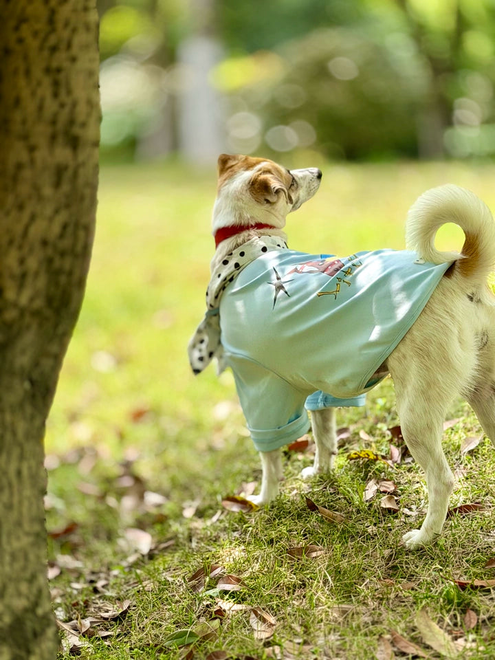 Doodle Print Dog T-Shirt – Blue, Pink or White