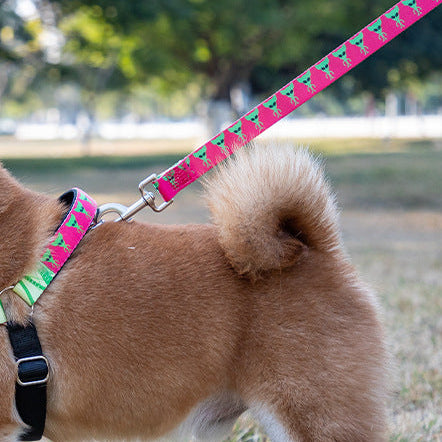 Printed Nylon Dog Lead - 152cm with Padded Handle and D-Ring, Six Patterns, 2 Widths