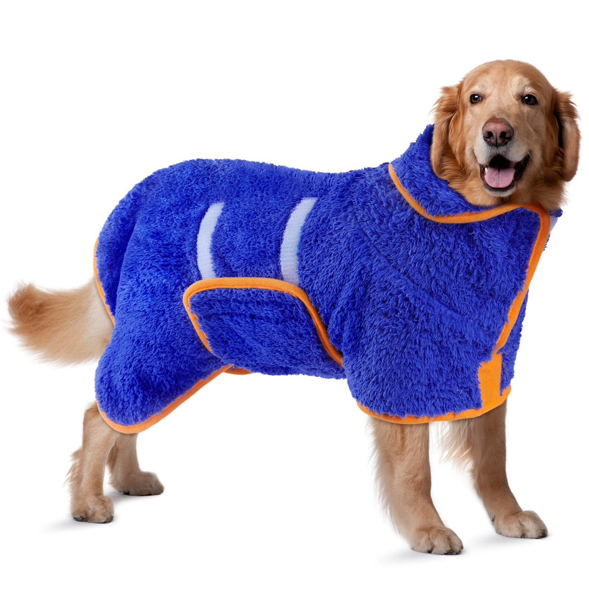 Blue shaggy pile dog bathrobe with orange binding, worn by a golden retriever, side view
