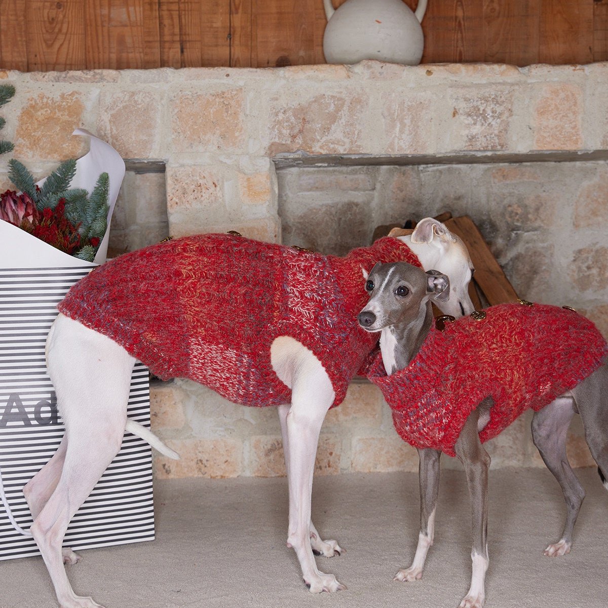 All I Want Is This Christmas Pup Sweater for Dogs