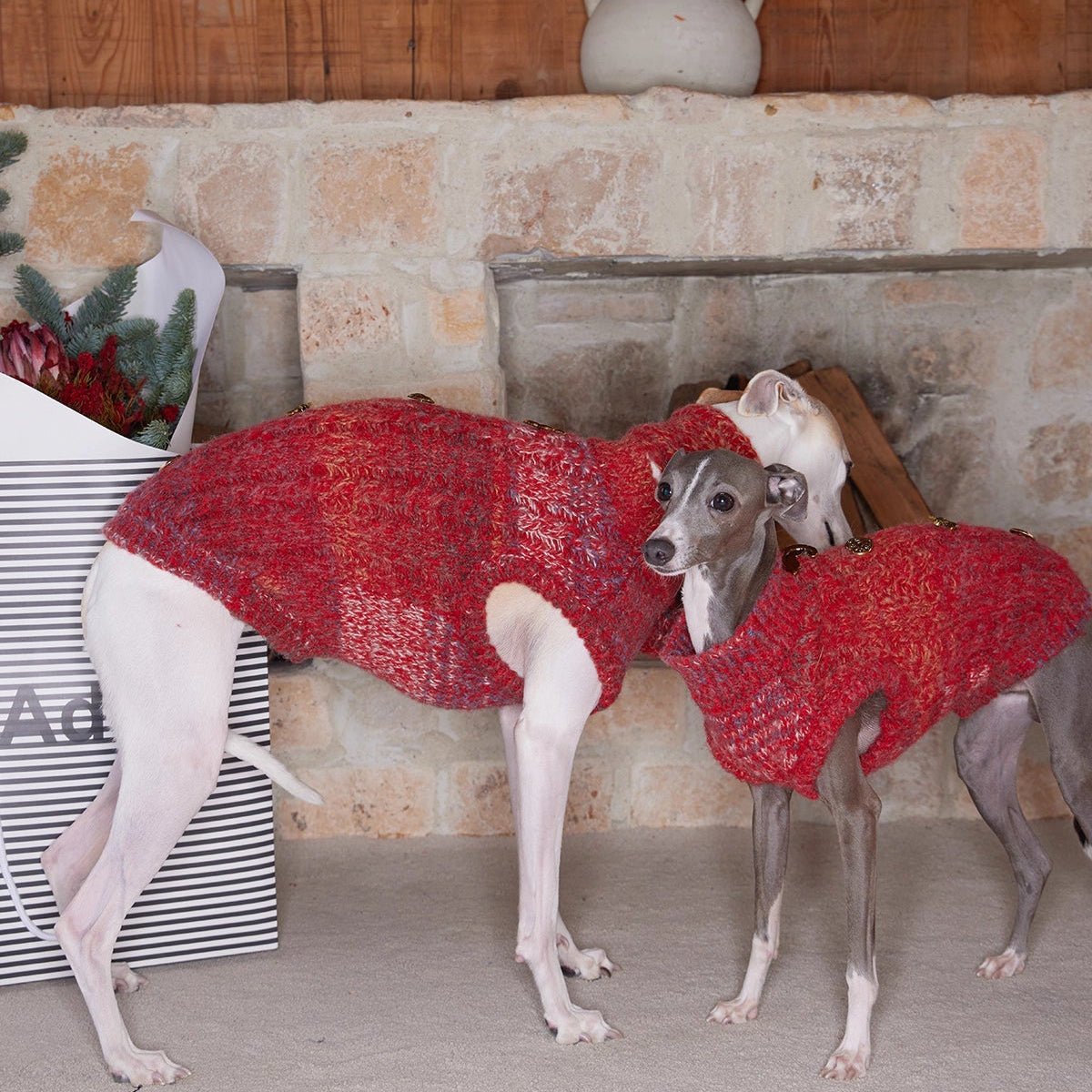 All I Want Is This Christmas Pup Sweater jumper for dogs