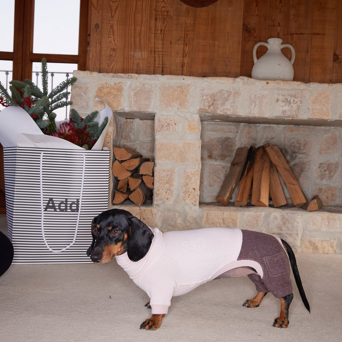 CloudSnuggle Winter Patchwork Jumpsuit for Dogs