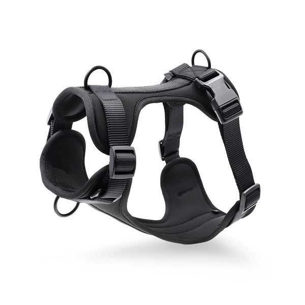 Harness