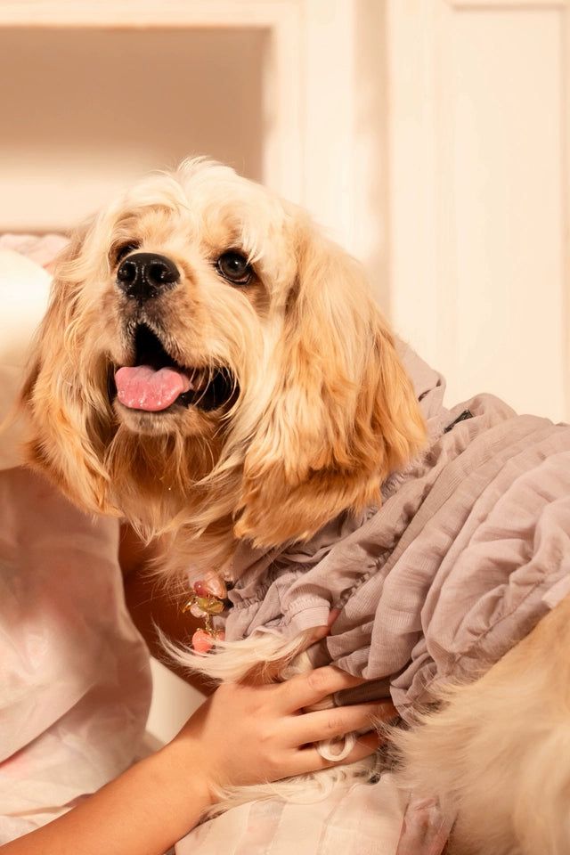 Ruffle Dog Vest – Lavender Mousse, Beige or Purple