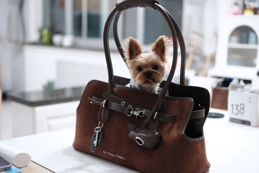 Suede-Feel Pet Tote Bag – Small Dog and Cat Carrier with Safety Leash, Hand or Shoulder Carry, Reddish Brown