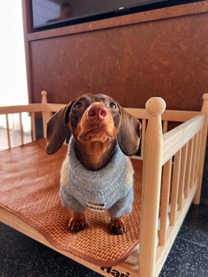 Nordic Pattern Knitted Dog Jumper – Blue and Cream
