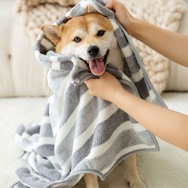 Shiba inu being dried with the striped towelling after a bath