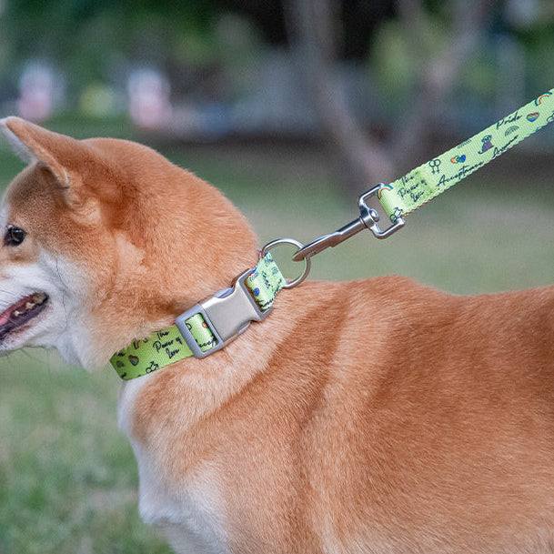 Printed Nylon Dog Lead - 152cm with Padded Handle and D-Ring, Six Patterns, 2 Widths