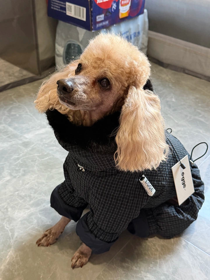 WinterCore Four-Leg Dog Jacket – Grey, White or Navy