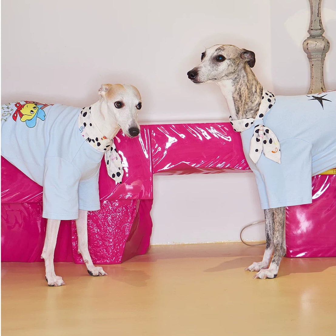 Doodle Scarf Bow-Tie Tee t-shirt for dogs