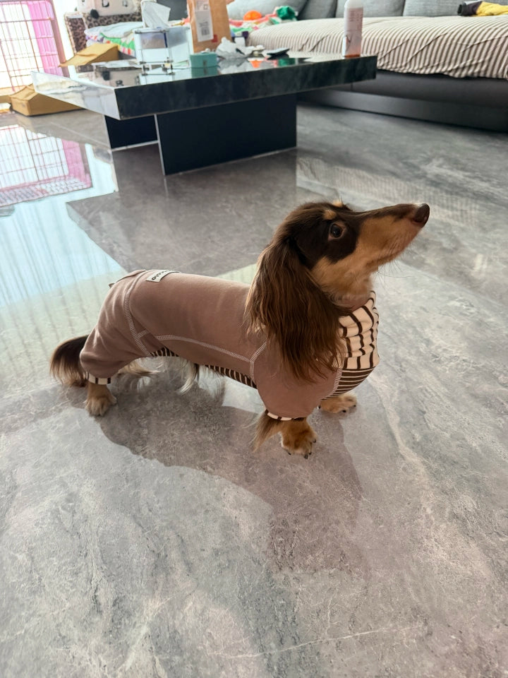 Caramel Stripe Four-Leg Dog Hoodie – Brown