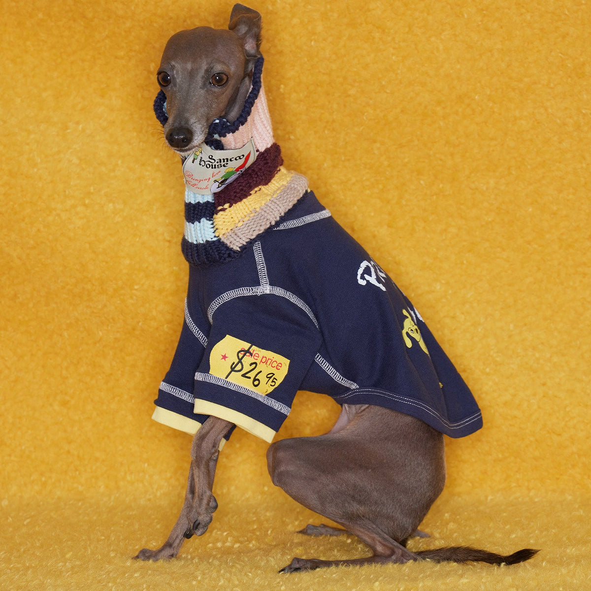Boxing Embroidered Tee for Dogs