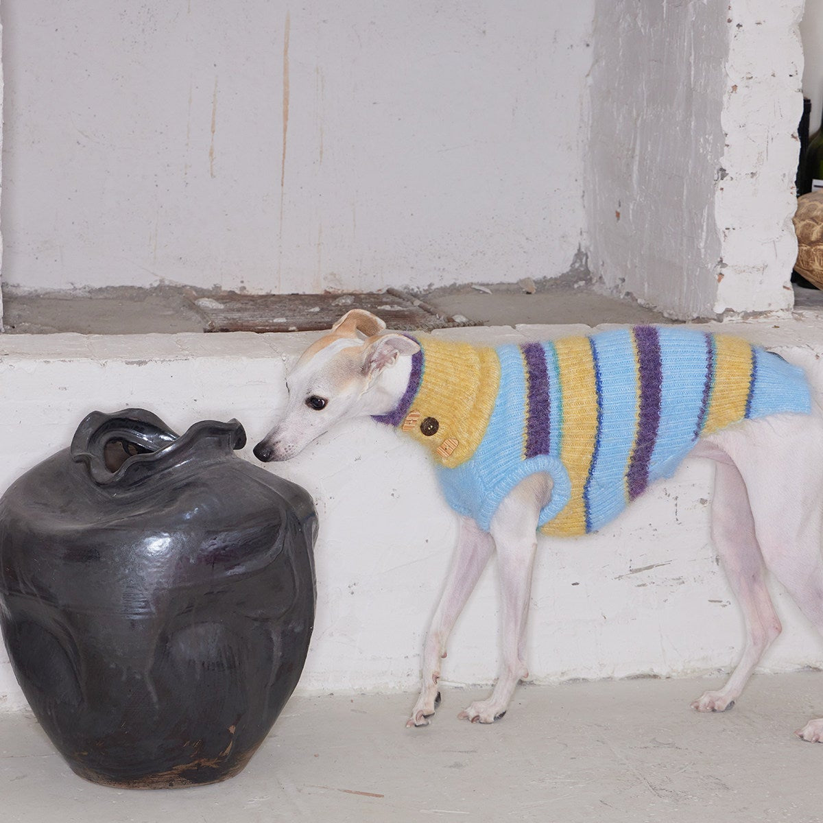 Christmas is a Rainbow Sweater for Dogs