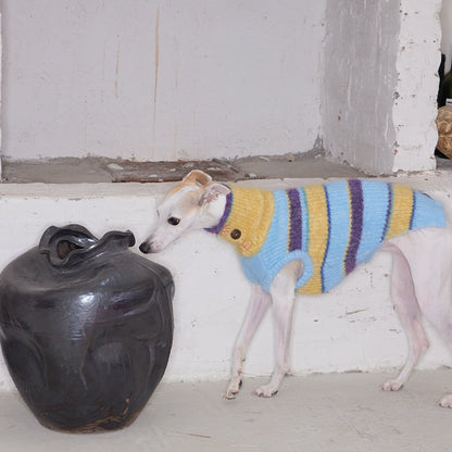 Christmas is a Rainbow Sweater for Dogs