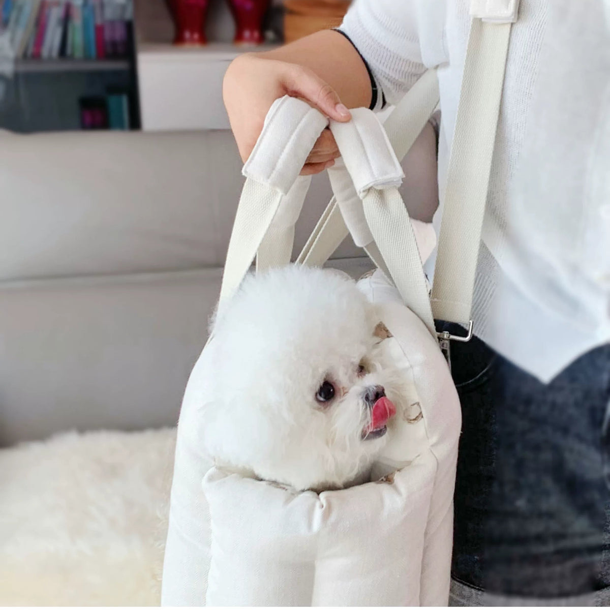 Padded Pet Car Seat Bed – Portable Dog and Cat Bed with Handles for Small Pets up to 6.5 kg, 6 Prints