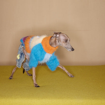 Snowday Candy-Stripe Knit for Dogs