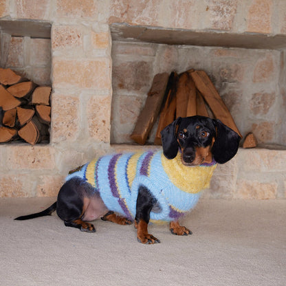 Christmas is a Rainbow Sweater for Dogs