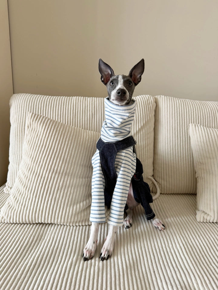 Denim Dog Overalls – Blue Dungarees