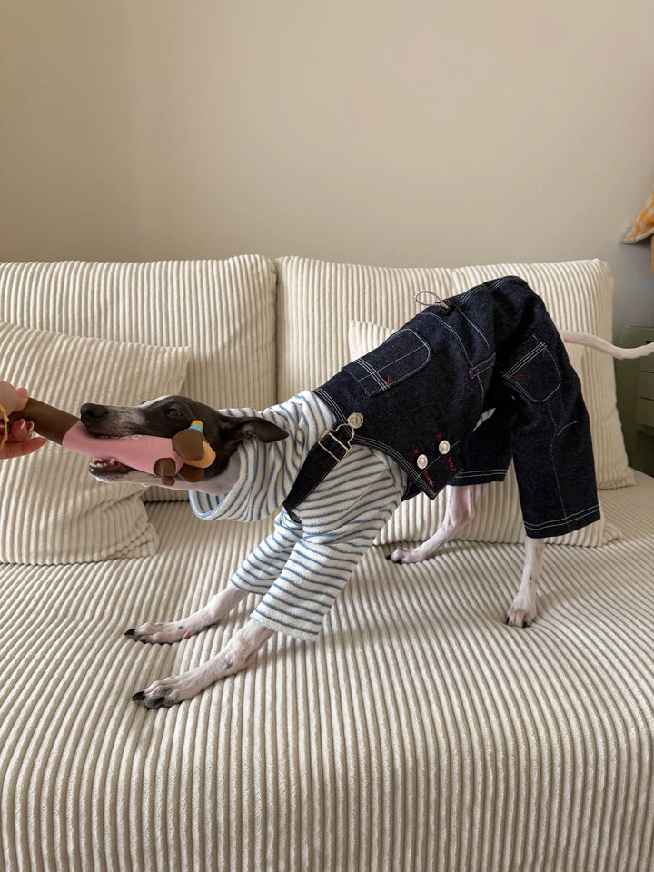 Denim Dog Overalls – Blue Dungarees