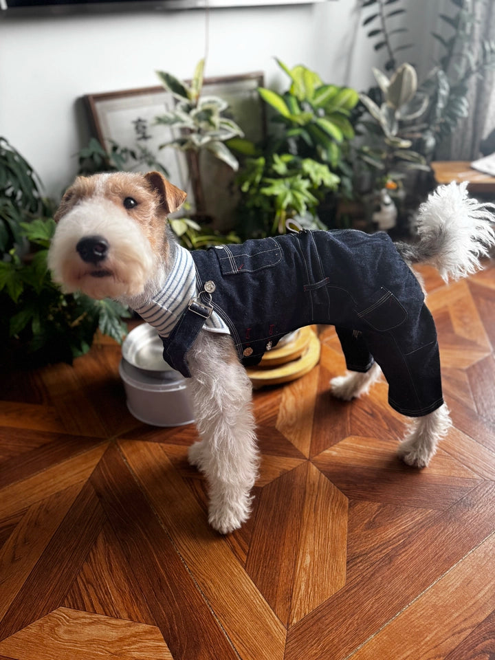 Denim Dog Overalls – Blue Dungarees