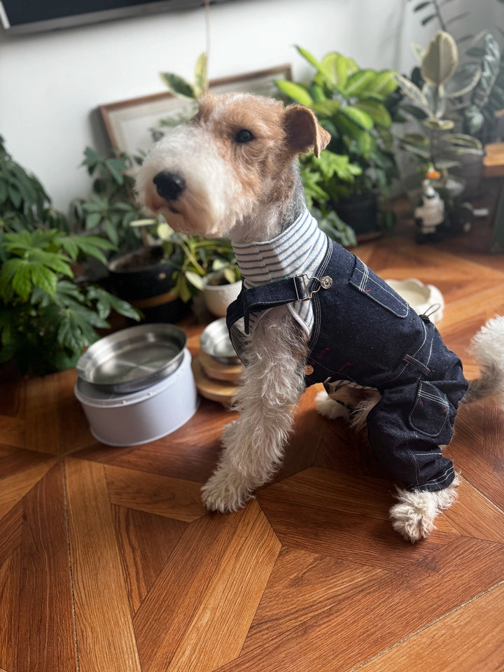Denim Dog Overalls – Blue Dungarees