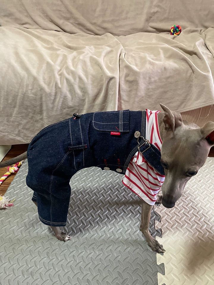 Denim Dog Overalls – Blue Dungarees