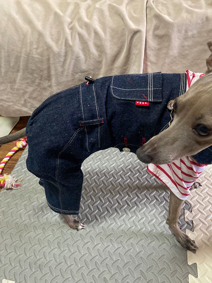 Denim Dog Overalls – Blue Dungarees