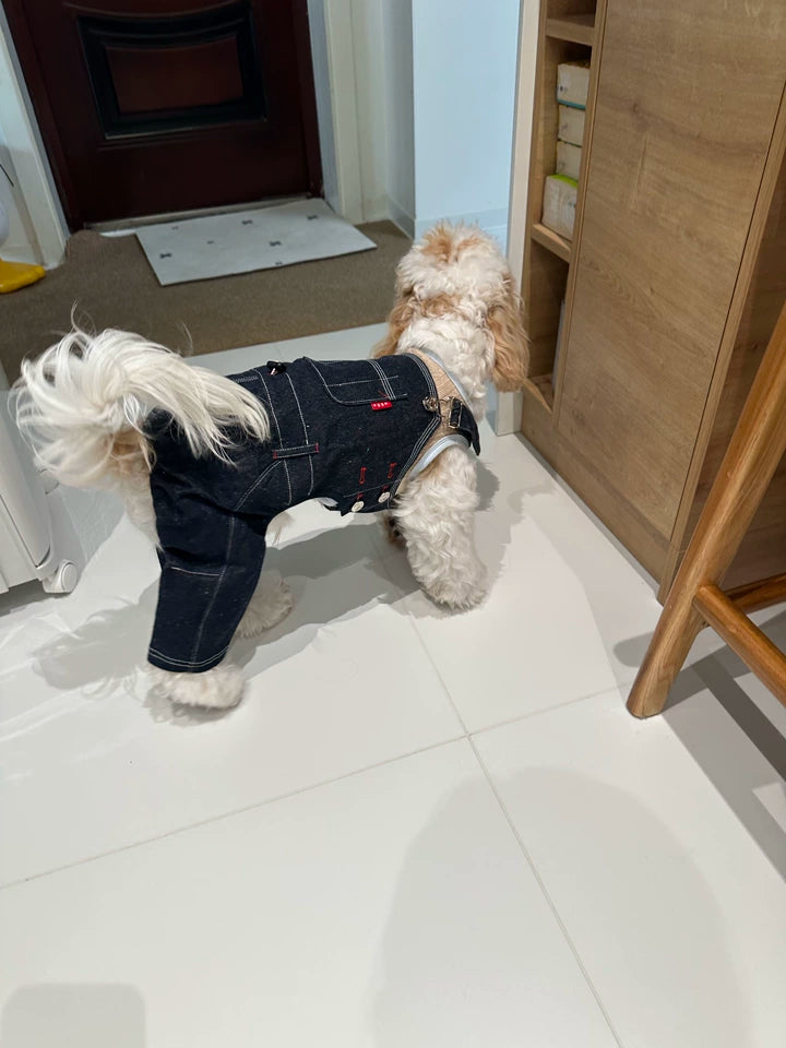 Denim Dog Overalls – Blue Dungarees