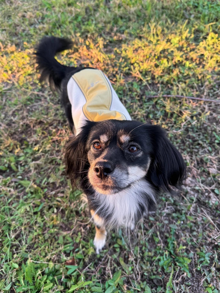 Light Outdoor Fleece Vest for Dogs