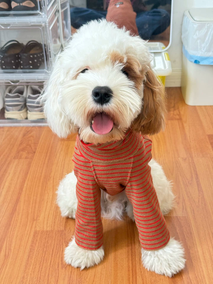 Autumn Stripes Dog Fleece Vest – High-Neck Pullover