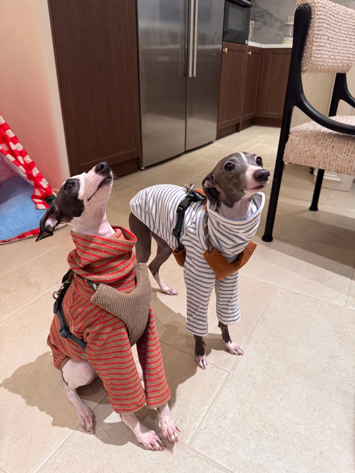 Autumn Stripes Dog Fleece Vest – High-Neck Pullover