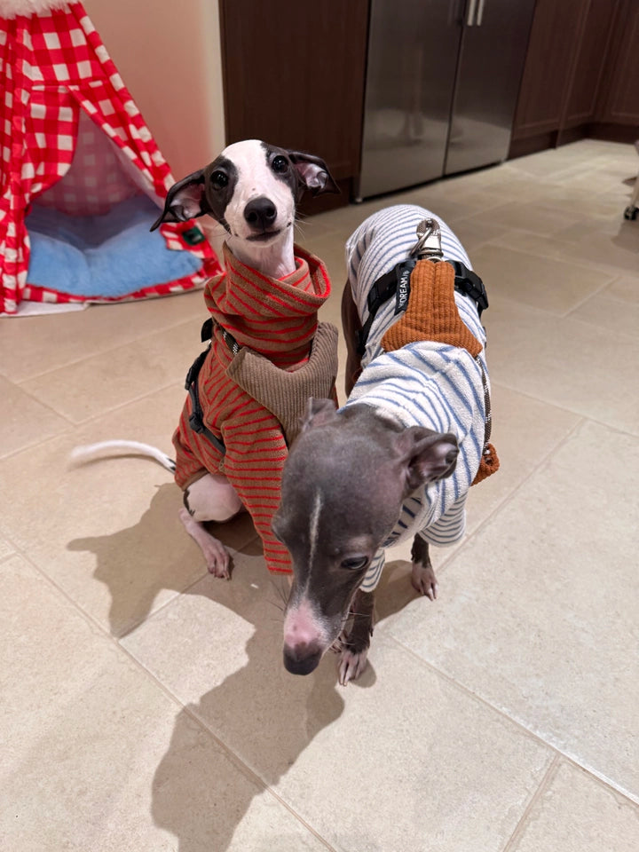 Autumn Stripes Dog Fleece Vest – High-Neck Pullover