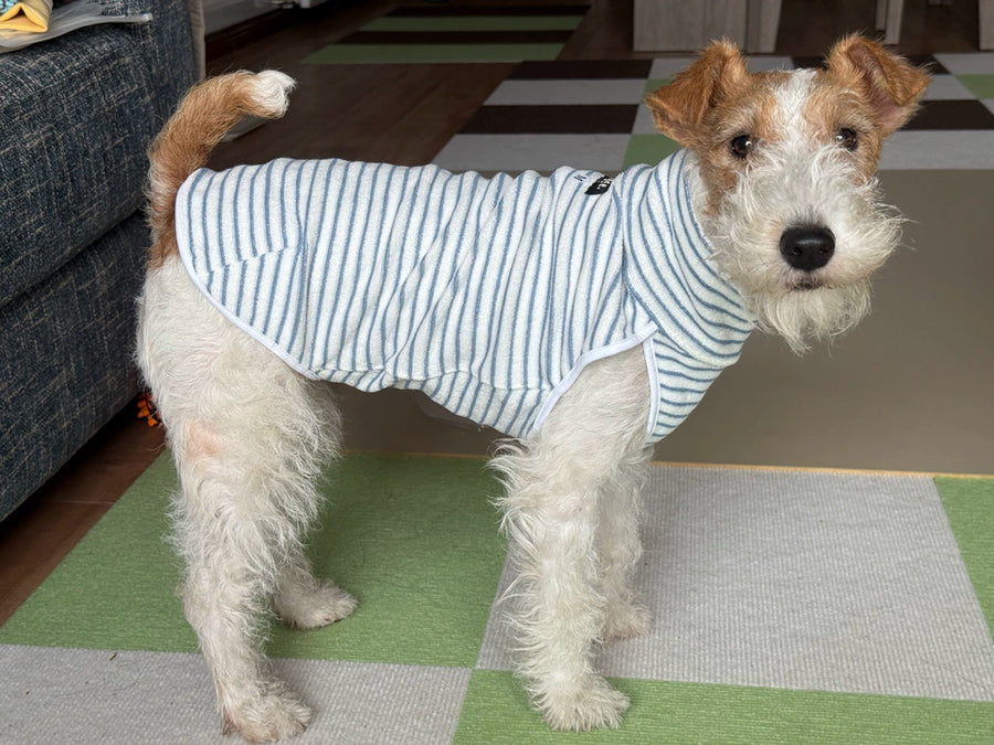 Autumn Stripes Dog Fleece Vest – High-Neck Pullover