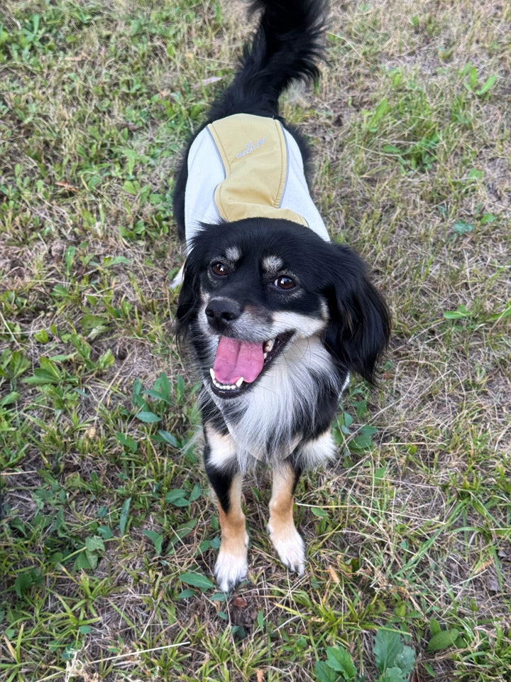 Light Outdoor Fleece Vest for Dogs