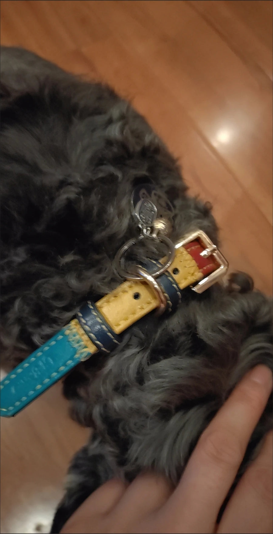 Two-Tone Dog Collar & Lead Set – Contrast PU Leather-Look Collar, S to L