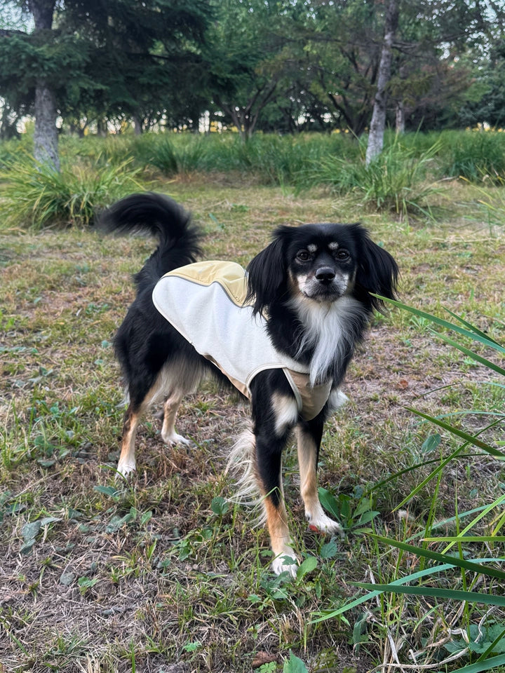 Light Outdoor Fleece Vest for Dogs