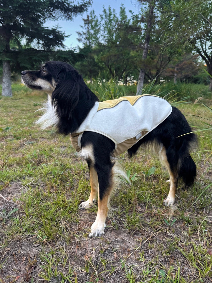 Light Outdoor Fleece Vest for Dogs
