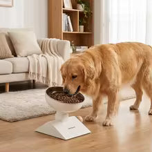 Height-Adjustable Raised Pet Bowl - 304 Stainless Steel Bowl on Elevated Stand for Dogs and Cats