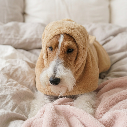 Plush Quick-Dry Bath Robe bathrobe for dogs