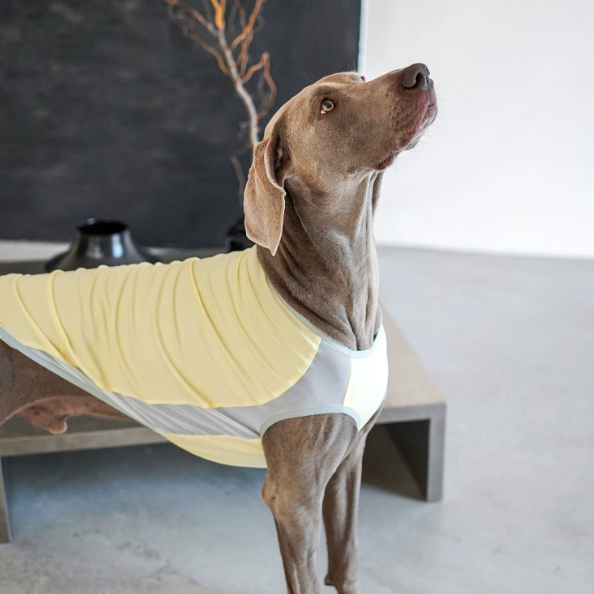 Ocean Breeze Cooling Vest in yellow — gilet for dogs