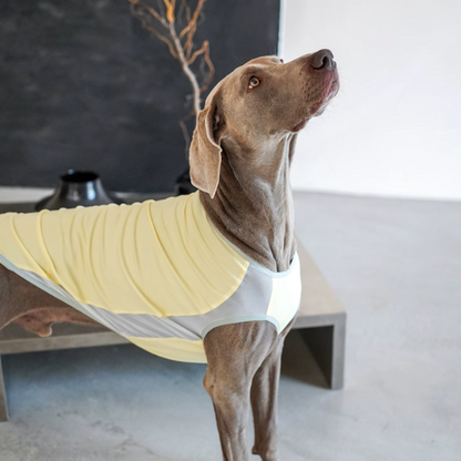 Ocean Breeze Cooling Vest in yellow — gilet for dogs