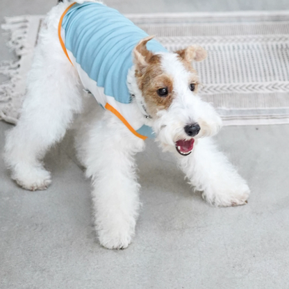 Ocean Breeze Cooling Vest gilet for dogs